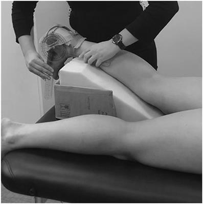 Gastrocnemius Muscle Architecture in Elite Basketballers and Cyclists: A Cross-Sectional Cohort Study